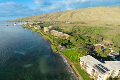 One-of-a-kind Beachfront property in Prime Maalaea neighborhood - photo 14