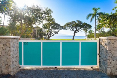 One-of-a-kind Beachfront property in Prime Maalaea neighborhood - photo 15