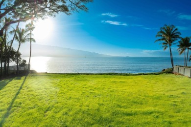 One-of-a-kind Beachfront property in Prime Maalaea neighborhood - photo 18