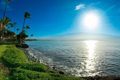 One-of-a-kind Beachfront property in Prime Maalaea neighborhood - photo 19