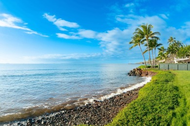 One-of-a-kind Beachfront property in Prime Maalaea neighborhood - photo 20