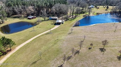 Welcome to 5192 Bean Rd in the Gilllsburg community! The 45 - photo 2