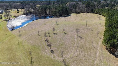 Welcome to 5192 Bean Rd in the Gilllsburg community! The 45 - photo 3
