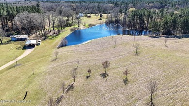 Welcome to 5192 Bean Rd in the Gilllsburg community! The 45 - photo 4