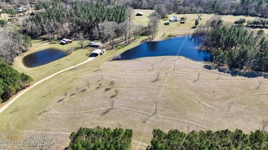 Welcome to 5192 Bean Rd in the Gilllsburg community! The 45 - photo 5