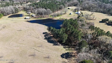 Welcome to 5192 Bean Rd in the Gilllsburg community! The 45 - photo 6