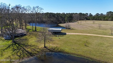 Welcome to 5192 Bean Rd in the Gilllsburg community! The 45 - photo 9