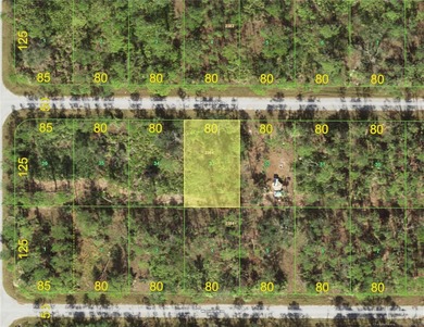 Port Charlotte Waterway Area Lot For Sale in Port Charlotte Florida