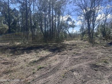 A little over four acres with plenty of road frontage, quick - photo 1