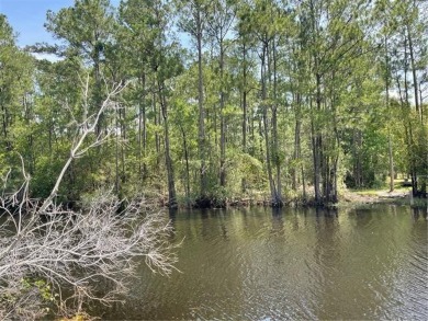 Lake Lot For Sale in Lacombe, Louisiana