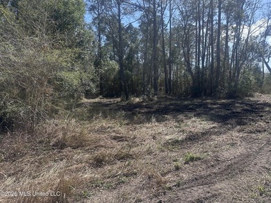 A little over four acres with plenty of road frontage, quick - photo 3