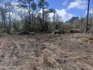 A little over four acres with plenty of road frontage, quick - photo 4