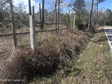 A little over four acres with plenty of road frontage, quick - photo 7