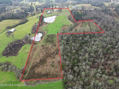 Situated on 29+/- acres, this 3,200+/- square foot home offers - photo 2