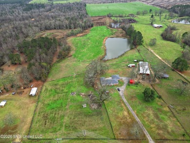 Situated on 29+/- acres, this 3,200+/- square foot home offers - photo 3