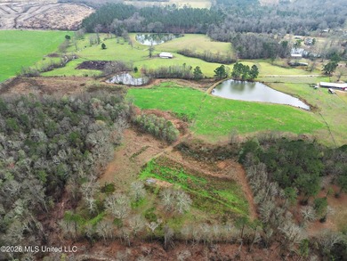 Situated on 29+/- acres, this 3,200+/- square foot home offers - photo 4
