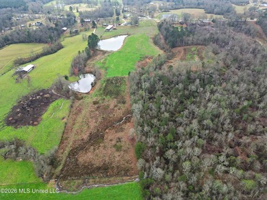 Situated on 29+/- acres, this 3,200+/- square foot home offers - photo 5