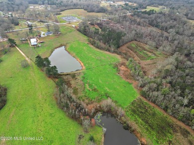 Situated on 29+/- acres, this 3,200+/- square foot home offers - photo 6