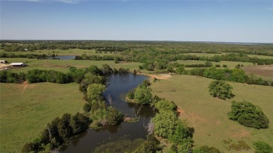 Lake Texoma Acreage For Sale in Gordonville Texas