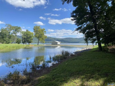 Lake Guntersville Lot For Sale in Scottsboro Alabama