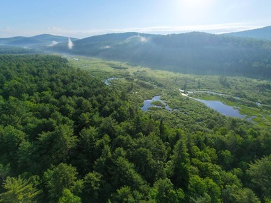 Wooded tract on a quiet road in the Adirondack Mountains of - photo 1