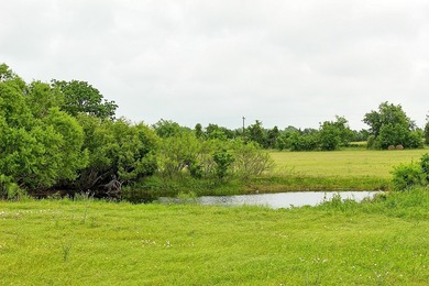 (private lake, pond, creek) Home For Sale in Weimar Texas