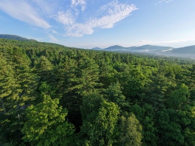 Wooded tract on a quiet road in the Adirondack Mountains of - photo 4
