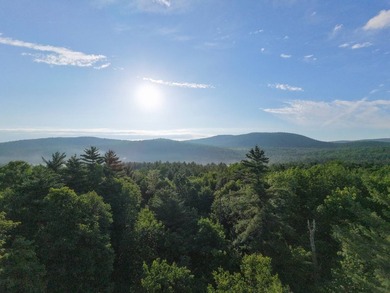 Wooded tract on a quiet road in the Adirondack Mountains of - photo 5