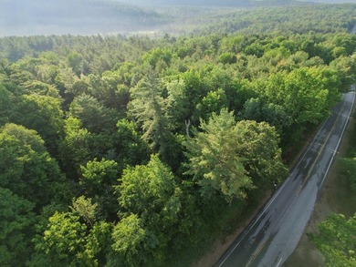 Wooded tract on a quiet road in the Adirondack Mountains of - photo 6