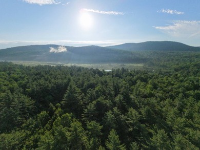 Wooded tract on a quiet road in the Adirondack Mountains of - photo 7