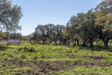 Beautiful 45.02+/- acres of raw land that is Ag Exempt!!! This - photo 12
