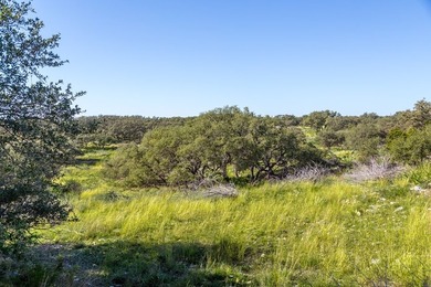 Beautiful 45.02+/- acres of raw land that is Ag Exempt!!! This - photo 15
