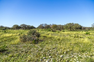 Beautiful 45.02+/- acres of raw land that is Ag Exempt!!! This - photo 19