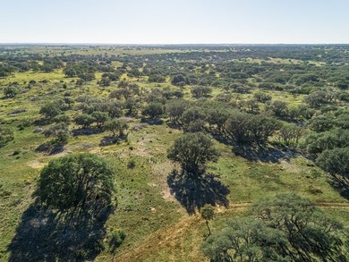 Beautiful 45.02+/- acres of raw land that is Ag Exempt!!! This - photo 20