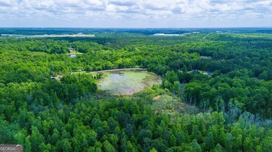(private lake, pond, coastal) Acreage Sale Pending in Lagrange Georgia