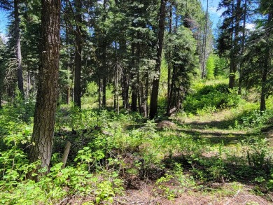 Lake Acreage For Sale in Donnelly, Idaho