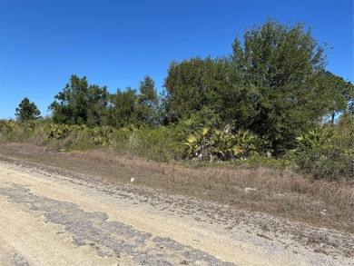 Lehigh Acres Area Lot For Sale in Lehigh Acres Florida