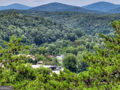 Lake Lot For Sale in Ellijay, Georgia