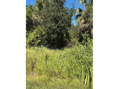 Northport Waterway Lakes and Canals Lot For Sale in North Port Florida