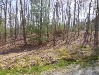 Lake Lot Sale Pending in Crossville, Tennessee