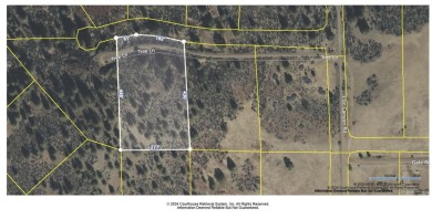 Lake Lot For Sale in Hornbrook, California