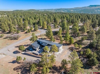 Mistalyn Kuzov, United Country Sneffels Realty, C:,,: Bring your - photo 32