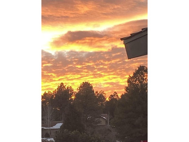 Mistalyn Kuzov, United Country Sneffels Realty, C:,,: Bring your - photo 35