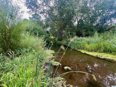 Lake Roberts Commercial For Sale in Lake Roberts New Mexico