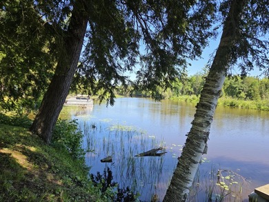 Nine gorgeous acres on the Thunder Bay River!! 200' of frontage! - photo 1