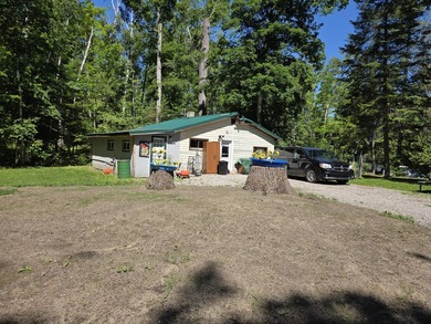 Nine gorgeous acres on the Thunder Bay River!! 200' of frontage! - photo 2