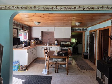 Nine gorgeous acres on the Thunder Bay River!! 200' of frontage! - photo 4