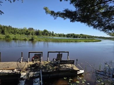 Nine gorgeous acres on the Thunder Bay River!! 200' of frontage! - photo 5