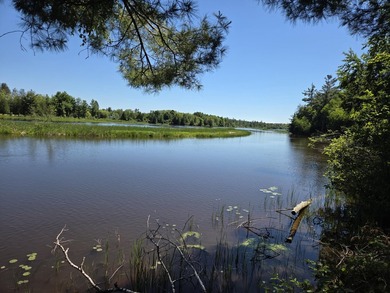 Nine gorgeous acres on the Thunder Bay River!! 200' of frontage! - photo 6