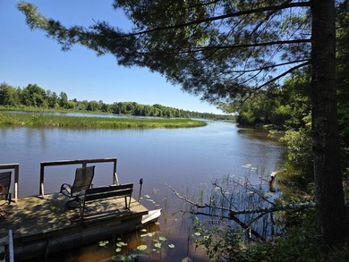 Nine gorgeous acres on the Thunder Bay River!! 200' of frontage! - photo 7